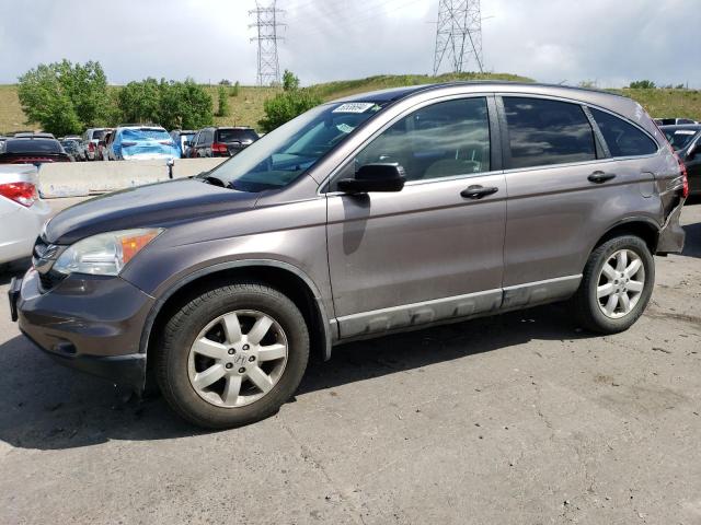 Vin: 5j6re4h41bl079942, lot: 50536694, honda crv se 2011 img_1