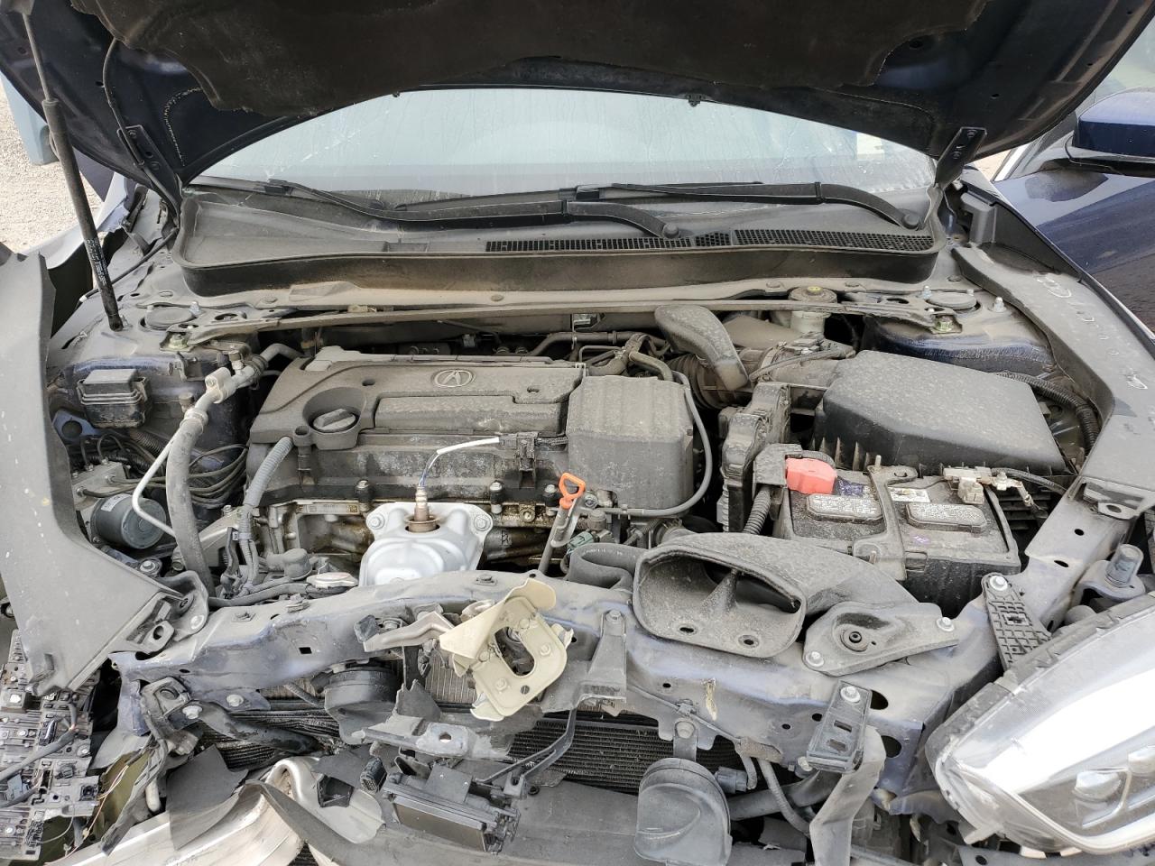 19UUB1F39KA008292 2019 Acura Tlx