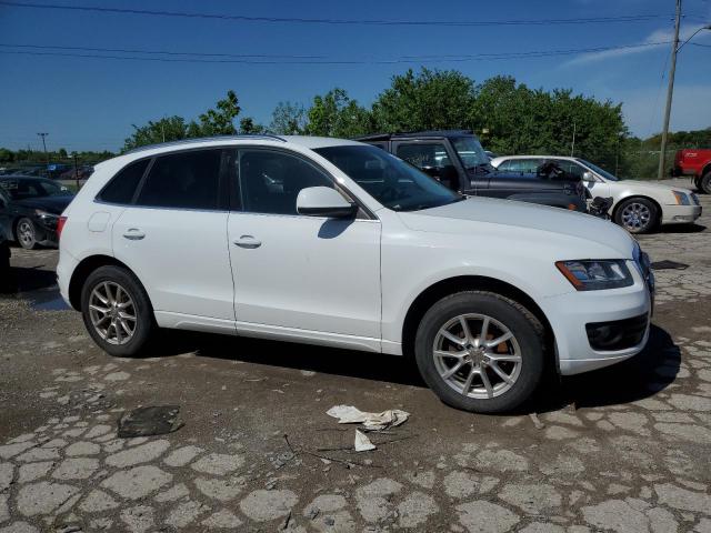 2011 Audi Q5 Premium VIN: WA1CFAFP8BA006707 Lot: 54190384