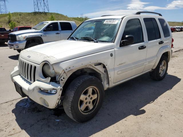 2004 Jeep Liberty Limited VIN: 1J8GL58K04W234403 Lot: 55280354