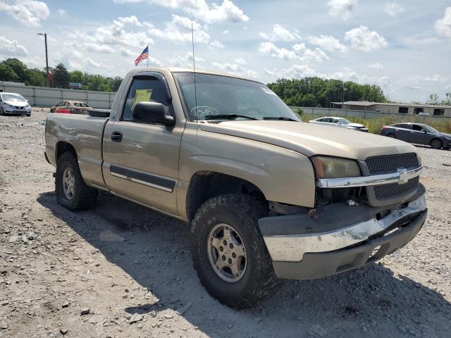 2004 Chevrolet Silverado K1500 VIN: 1GCEK14T34Z179971 Lot: 53396914