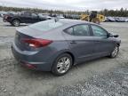 HYUNDAI ELANTRA SE photo