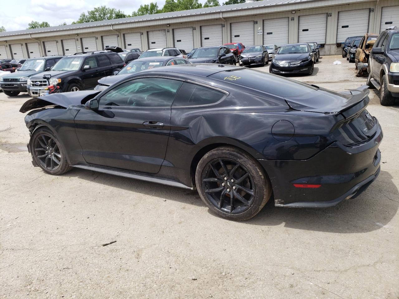 1FA6P8TH7K5169367 2019 Ford Mustang