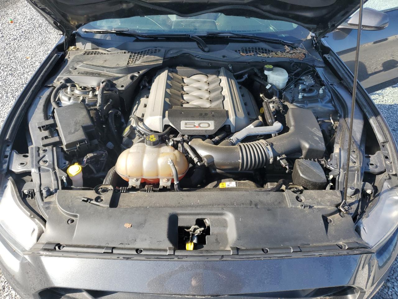 1FA6P8CF8F5312945 2015 Ford Mustang Gt