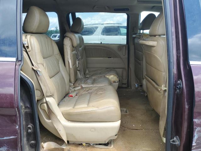 2009 Honda Odyssey Exl VIN: 5FNRL38739B406693 Lot: 55525354