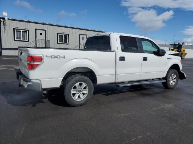 2013 Ford F150 Supercrew VIN: 1FTFW1EF2DFD71904 Lot: 53499204