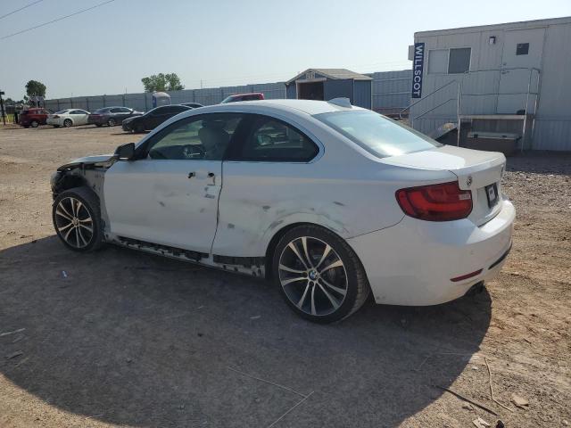 2014 BMW 228 I VIN: WBA1F5C59EV256068 Lot: 55160594