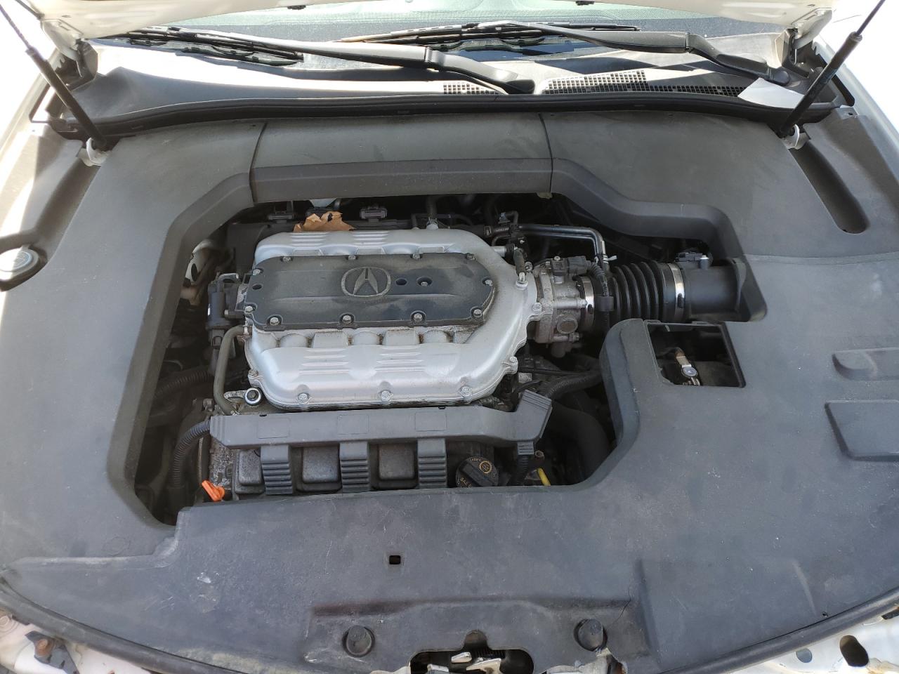 19UUA8F20DA008820 2013 Acura Tl