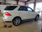 MERCEDES-BENZ ML 350 photo