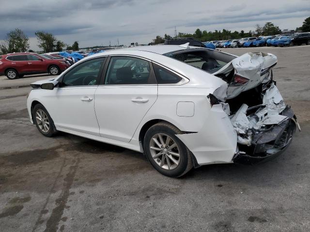 2019 HYUNDAI SONATA SE - 5NPE24AF1KH803240
