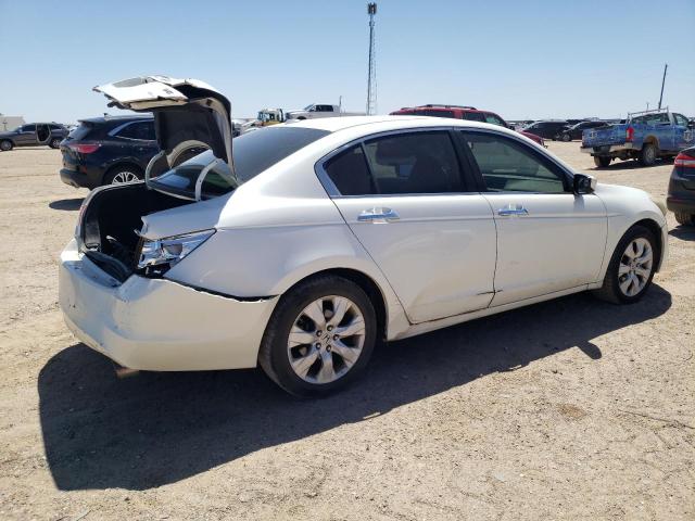 2010 Honda Accord Exl VIN: 1HGCP3F82AA024854 Lot: 53956734