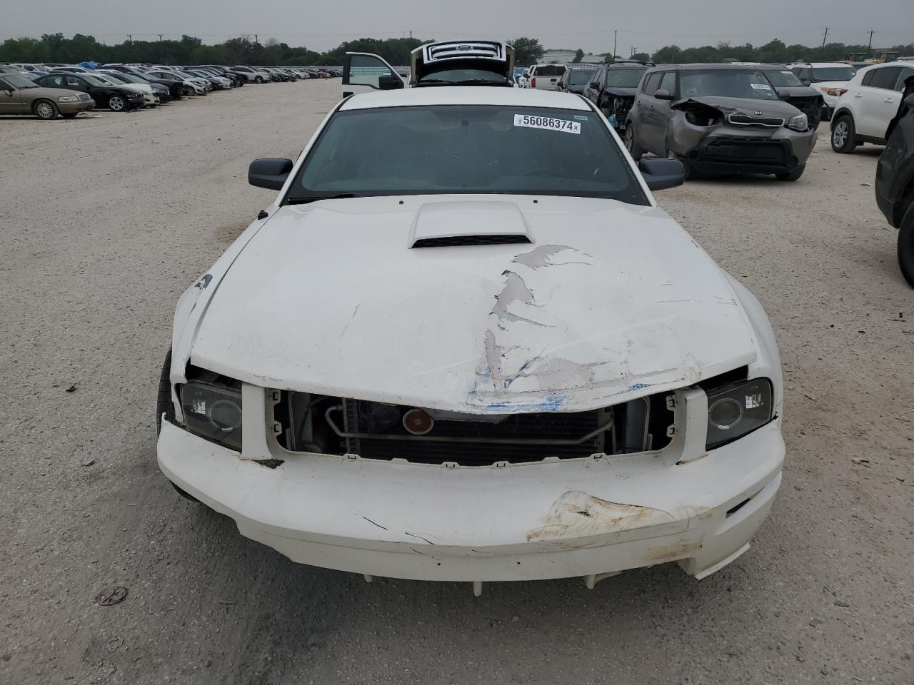 1ZVHT82H585132176 2008 Ford Mustang Gt