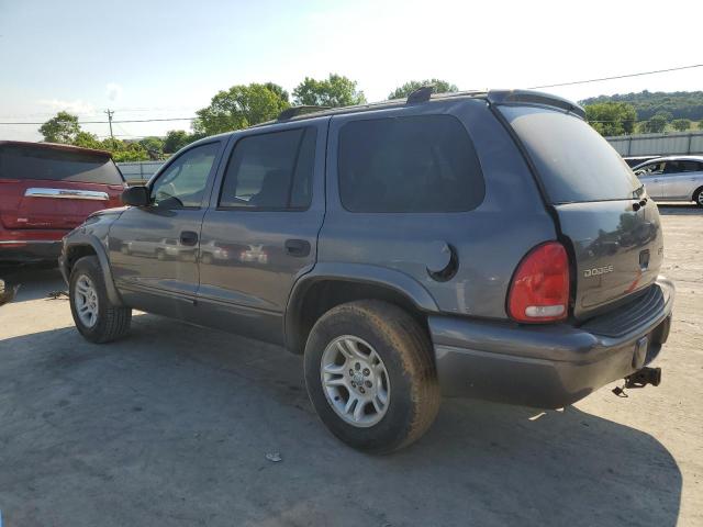 2003 Dodge Durango Slt VIN: 1D4HR48N13F501919 Lot: 55640814