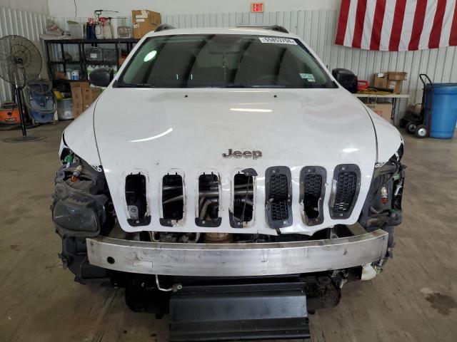 2016 Jeep Cherokee Sport VIN: 1C4PJMAS4GW245328 Lot: 55853794