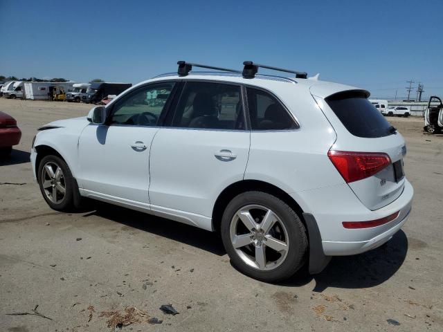 2012 Audi Q5 Premium Plus VIN: WA1LFAFP8CA125729 Lot: 55354924