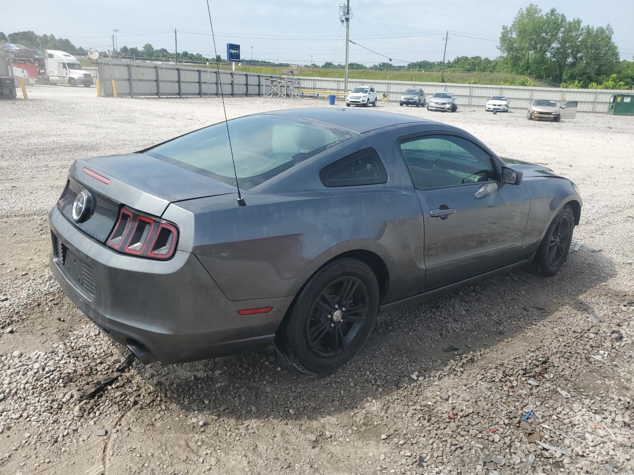 2014 Ford Mustang vin: 1ZVBP8AM0E5280319