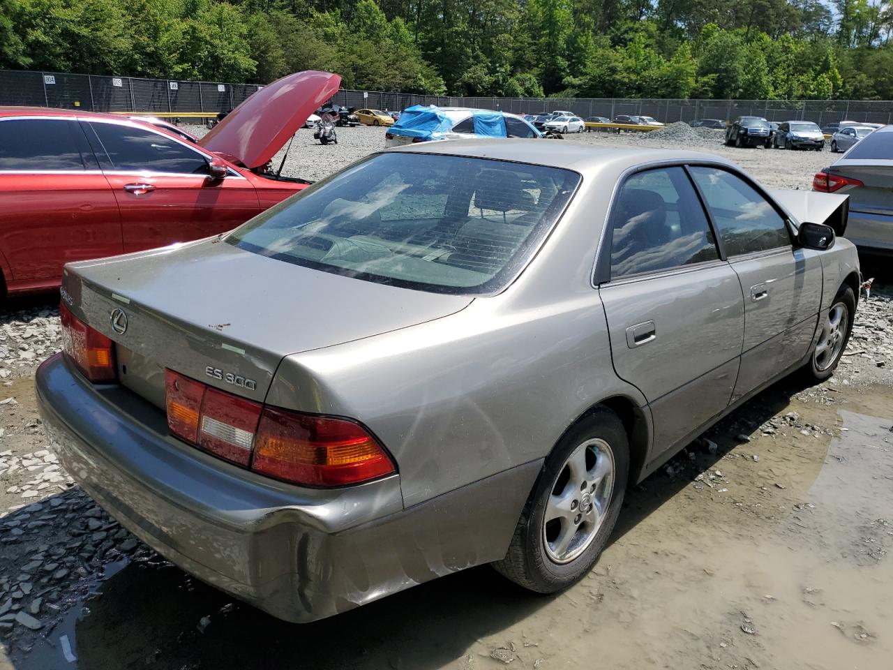 JT8BF28G5W5036362 1998 Lexus Es 300