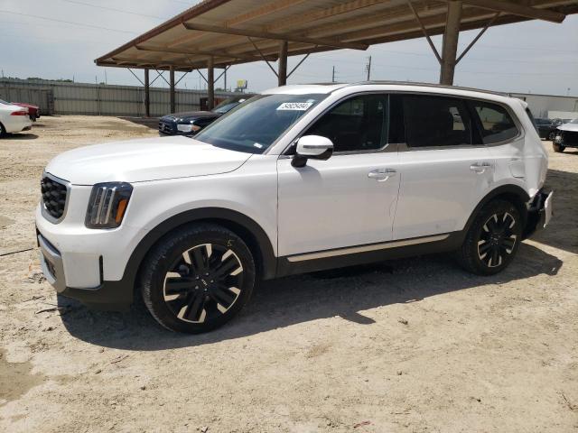 2023 Kia Telluride Sx VIN: 5XYP54GC8PG393564 Lot: 54925494