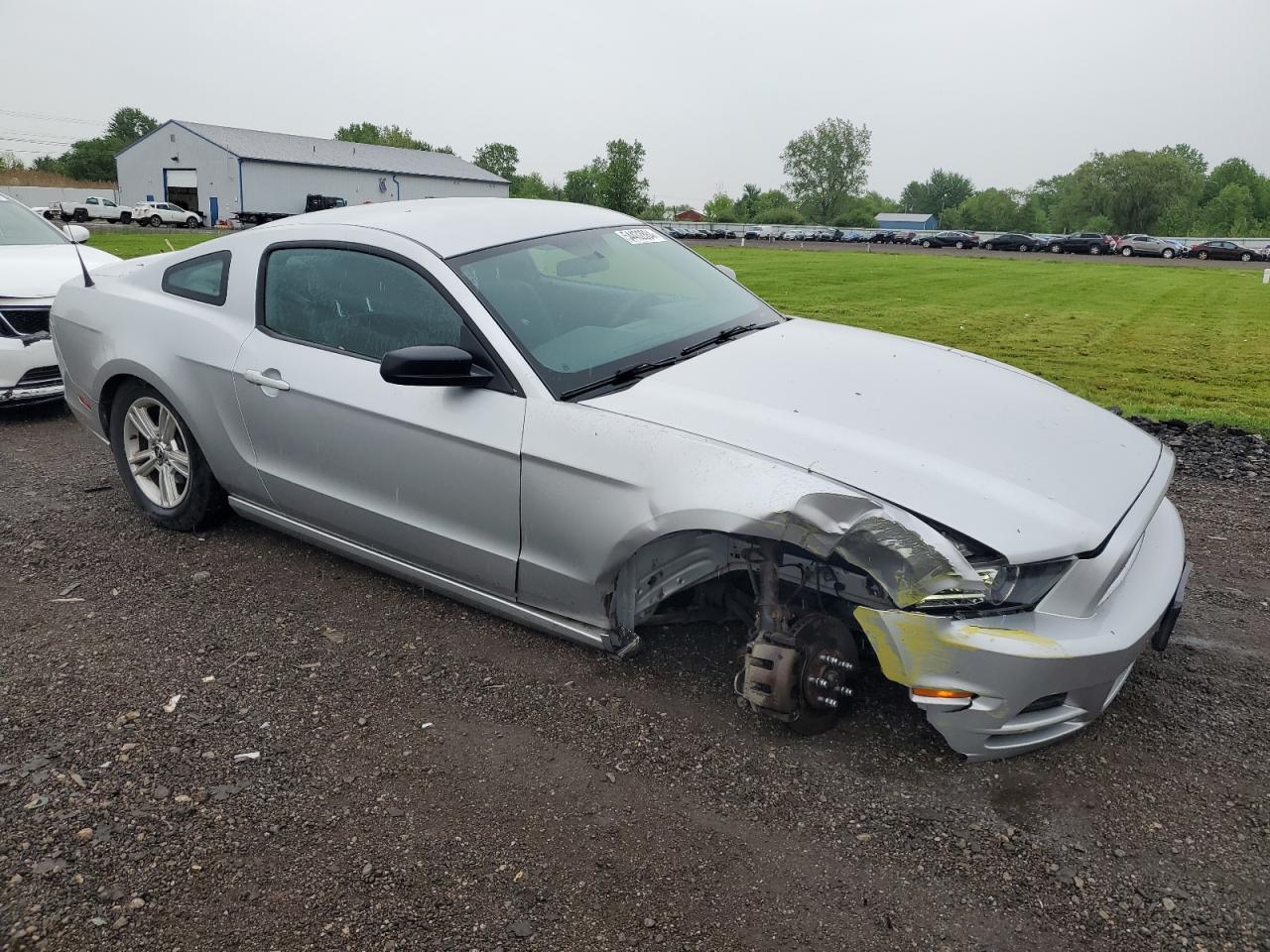 1ZVBP8AM5E5287444 2014 Ford Mustang