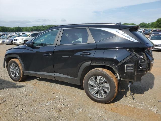 Vin: km8jbca19nu029760, lot: 53761844, hyundai tucson blue 20222