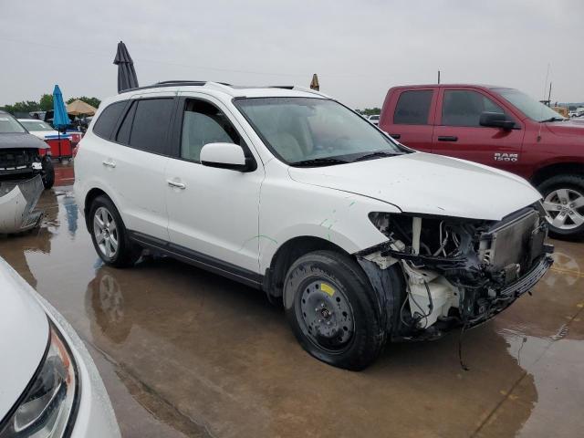 2009 Hyundai Santa Fe Se VIN: 5NMSH13E29H306550 Lot: 53637804