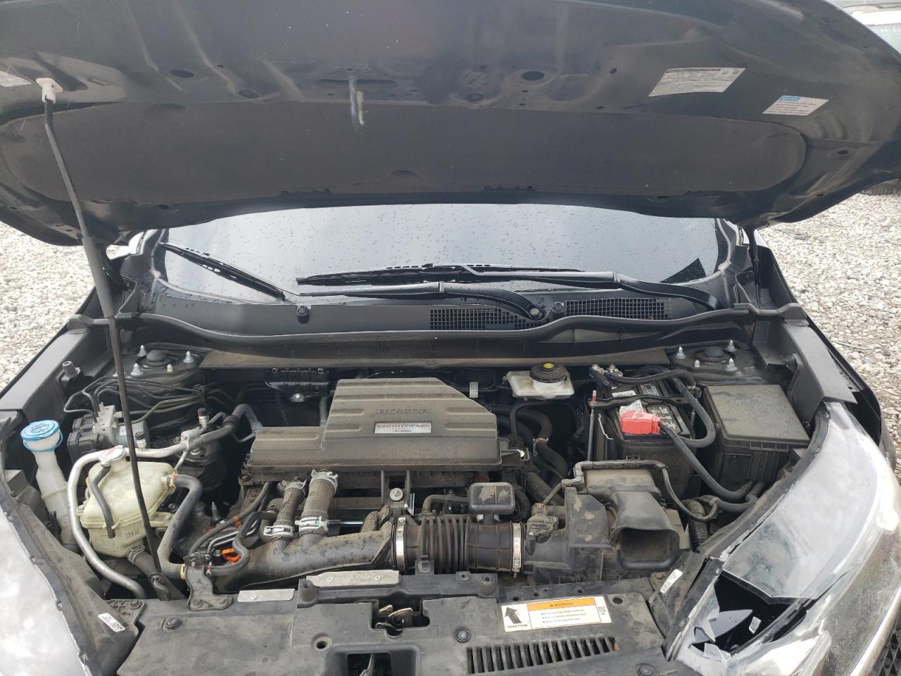 2HKRW1H59KH501003 2019 Honda Cr-V Ex
