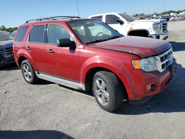 2011 Ford Escape Xlt VIN: 1FMCU9DGXBKA74350 Lot: 54641944