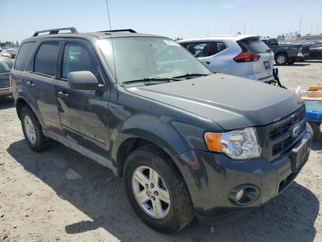 2009 Ford Escape Hybrid VIN: 1FMCU49379KB20560 Lot: 55572594