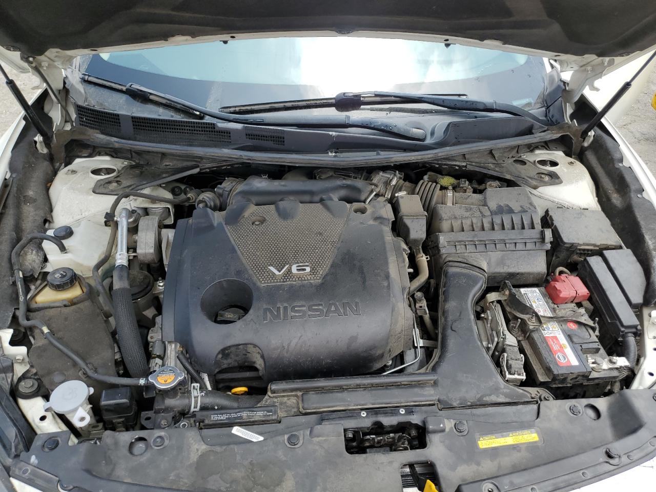 1N4AA6AV7KC367970 2019 Nissan Maxima S