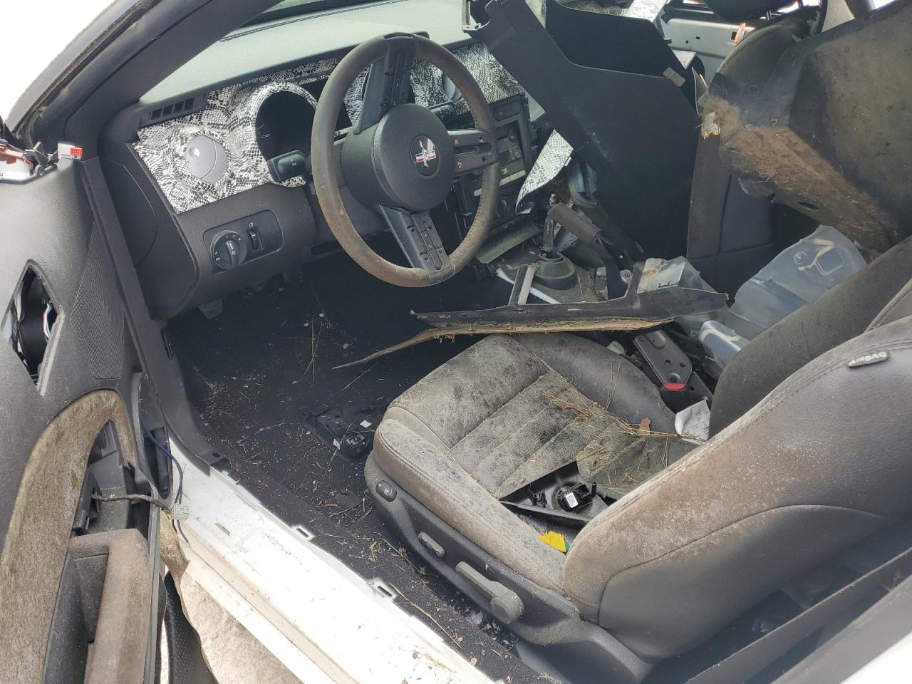 1ZVHT82H385176466 2008 Ford Mustang Gt