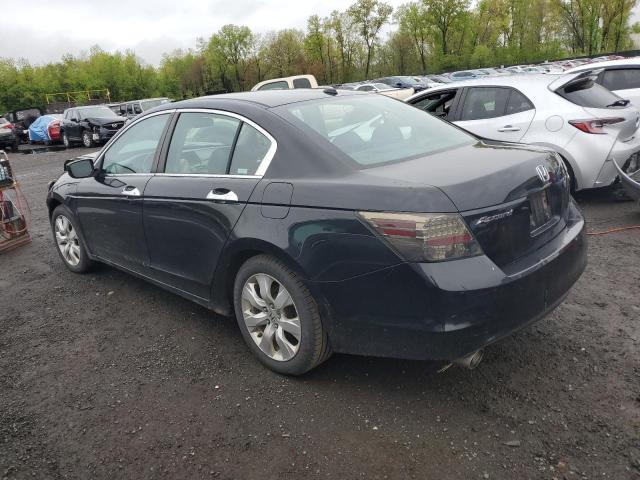 2009 Honda Accord Exl VIN: 1HGCP36829A013056 Lot: 53018334