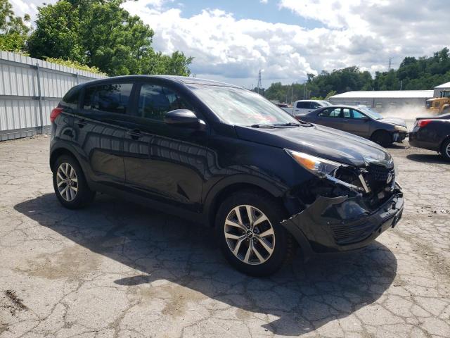 2015 Kia Sportage Lx VIN: KNDPB3AC5F7713687 Lot: 55995644