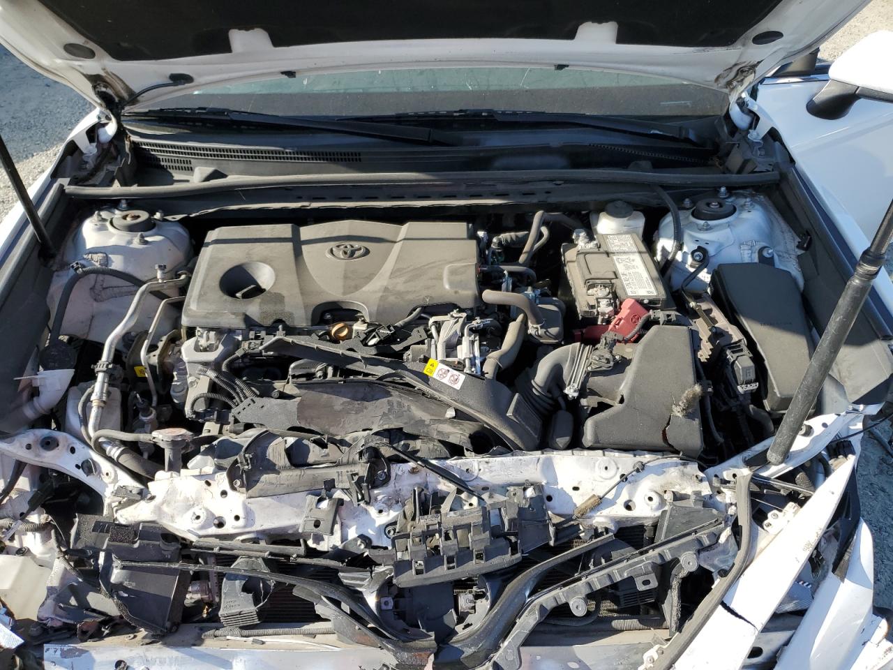 4T1C11AK0LU345067 2020 Toyota Camry Le