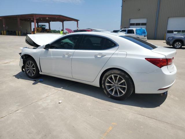 19UUB1F35LA008081 2020 Acura Tlx 2020 Acura Tlx VIN: 19UUB1F35LA008081 Lot: 56895994