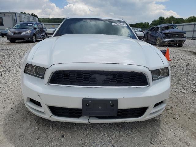 2014 Ford Mustang VIN: 1ZVBP8AM0E5300391 Lot: 54069734