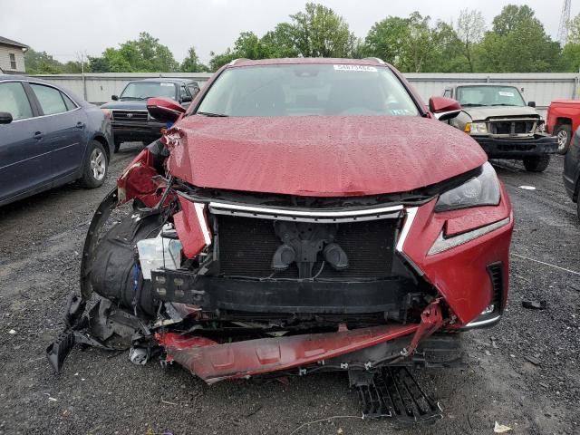 2021 Lexus Nx 300 Base VIN: JTJDARDZ2M5028982 Lot: 54873484