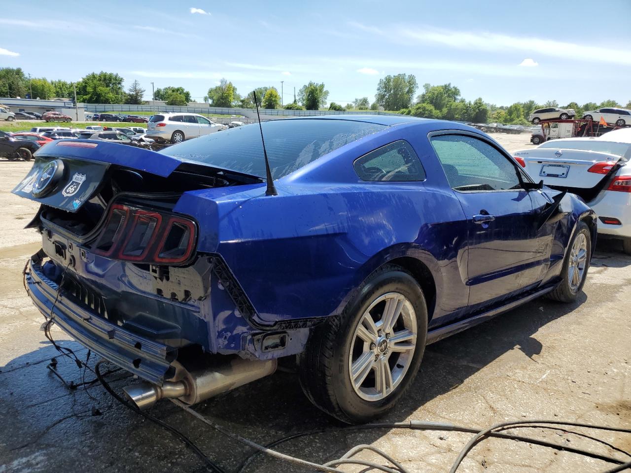 2014 Ford Mustang vin: 1ZVBP8AM6E5216902