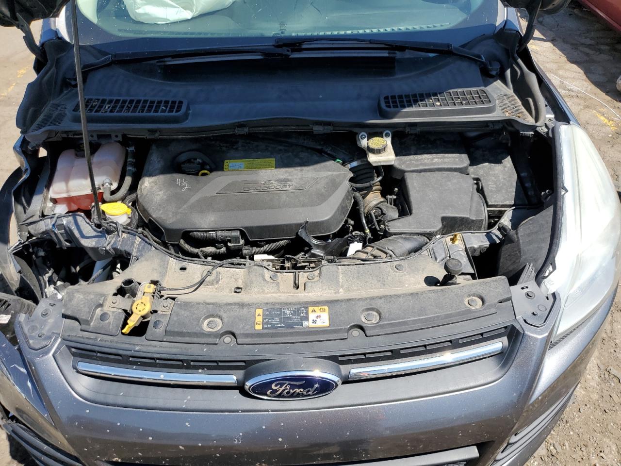 1FMCU9GX3EUB43559 2014 Ford Escape Se