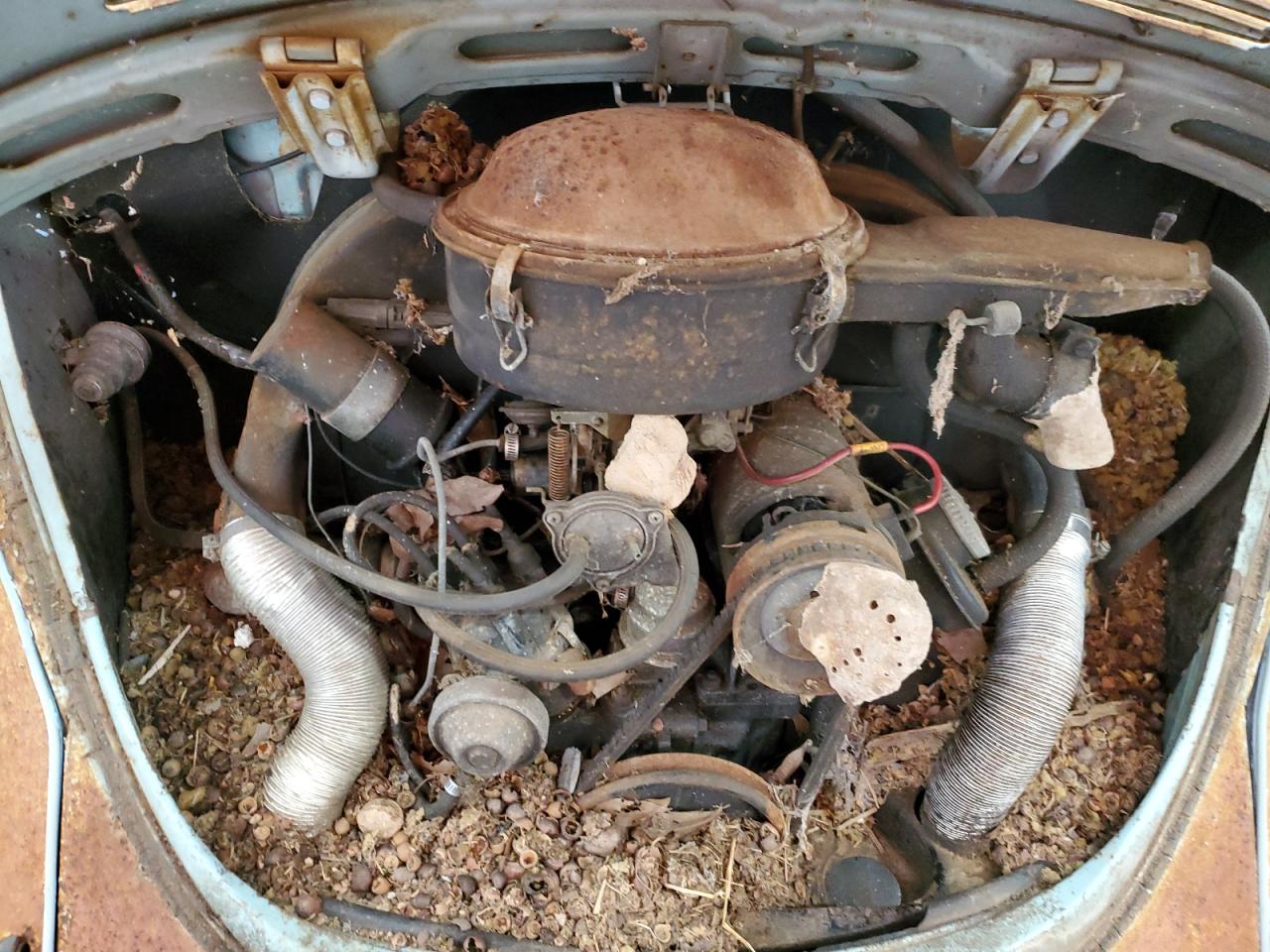 1112869933 1971 Volkswagen Beetle