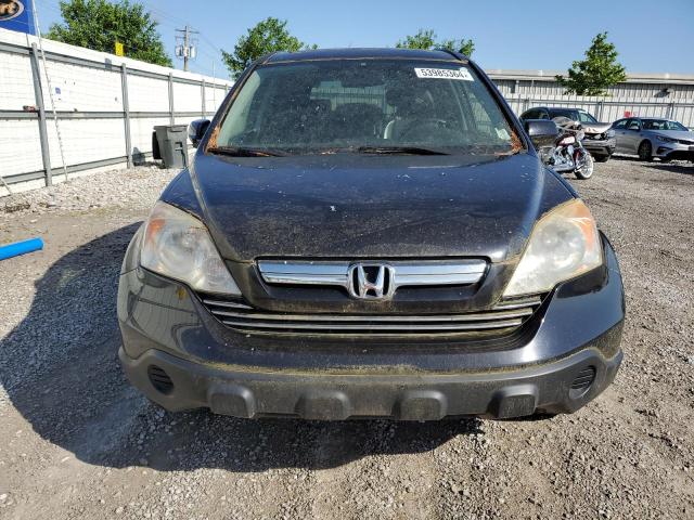 2007 Honda Cr-V Exl VIN: JHLRE487X7C113841 Lot: 53985364