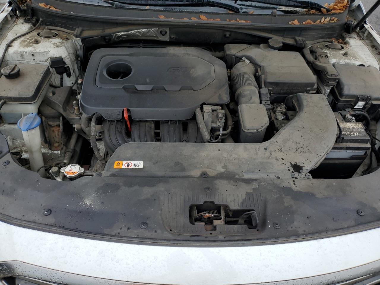 5NPE24AF3GH355638 2016 Hyundai Sonata Se