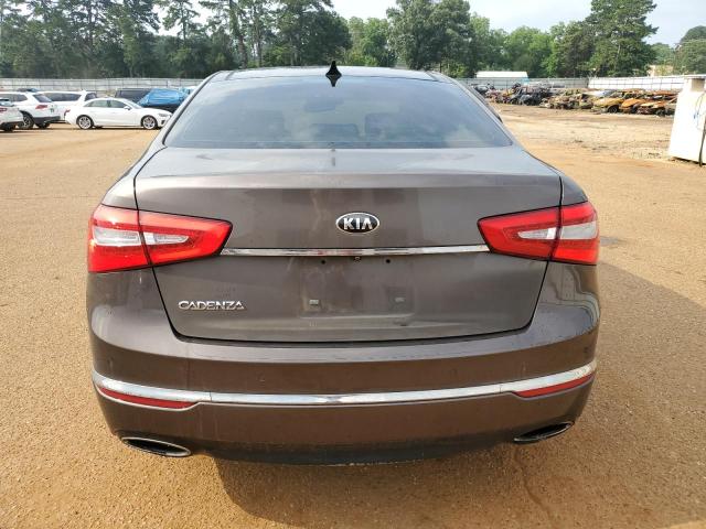 2014 Kia Cadenza Premium VIN: KNALN4D79E5166411 Lot: 56584744