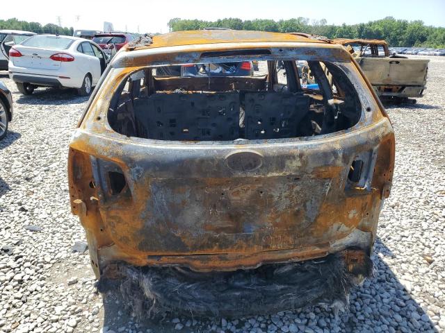 2013 Kia Sorento Lx VIN: 5XYKTDA29DG336124 Lot: 53291814