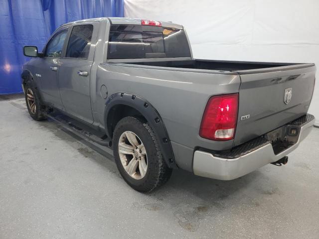 2010 Dodge Ram 1500 VIN: 1D7RB1CP1AS206293 Lot: 54161384