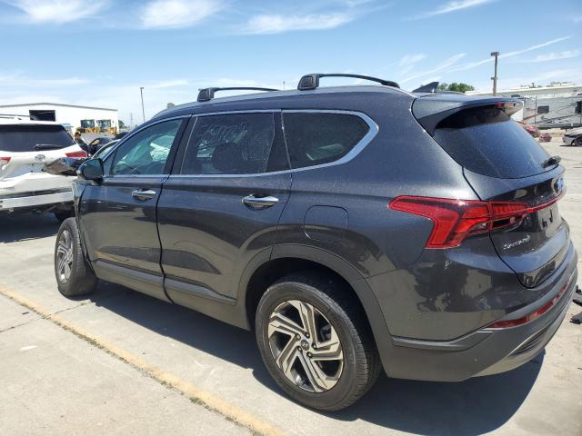 2023 Hyundai Santa Fe Sel VIN: 5NMS2DAJ2PH537464 Lot: 56517234