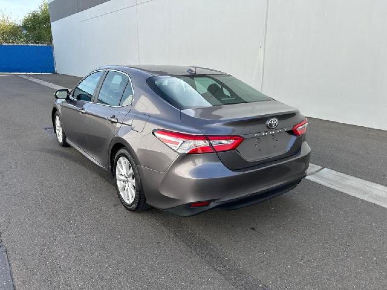 4T1B11HK3KU250602 2019 Toyota Camry L