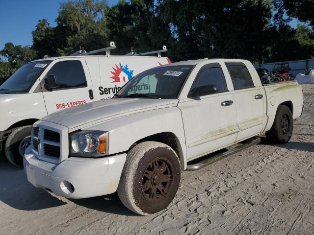 Lot #2508007023 2006 DODGE DAKOTA QUA salvage car