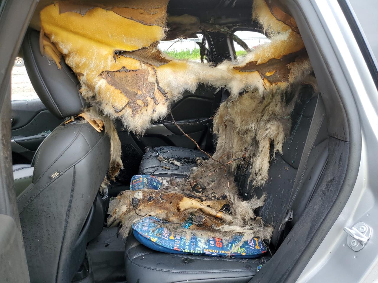 1C4PJMDN8KD192000 2019 Jeep Cherokee Limited