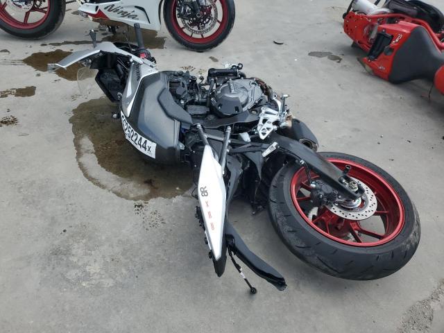 2024 SUZUKI GSX800 F JS1EM13B0R7100286