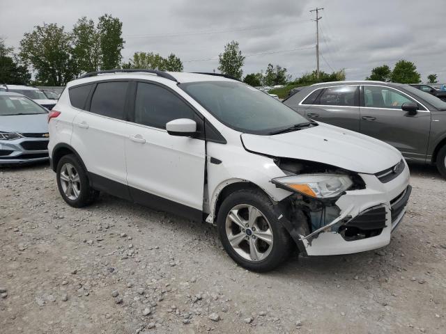 Vin: 1fmcu0gx7eue11007, lot: 57073365, ford escape se 20144